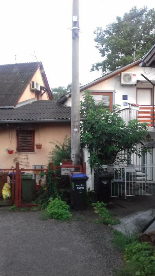 Apartment " Studio Green " Free Parking, Self Check-In Zagrzeb Zewnętrze zdjęcie