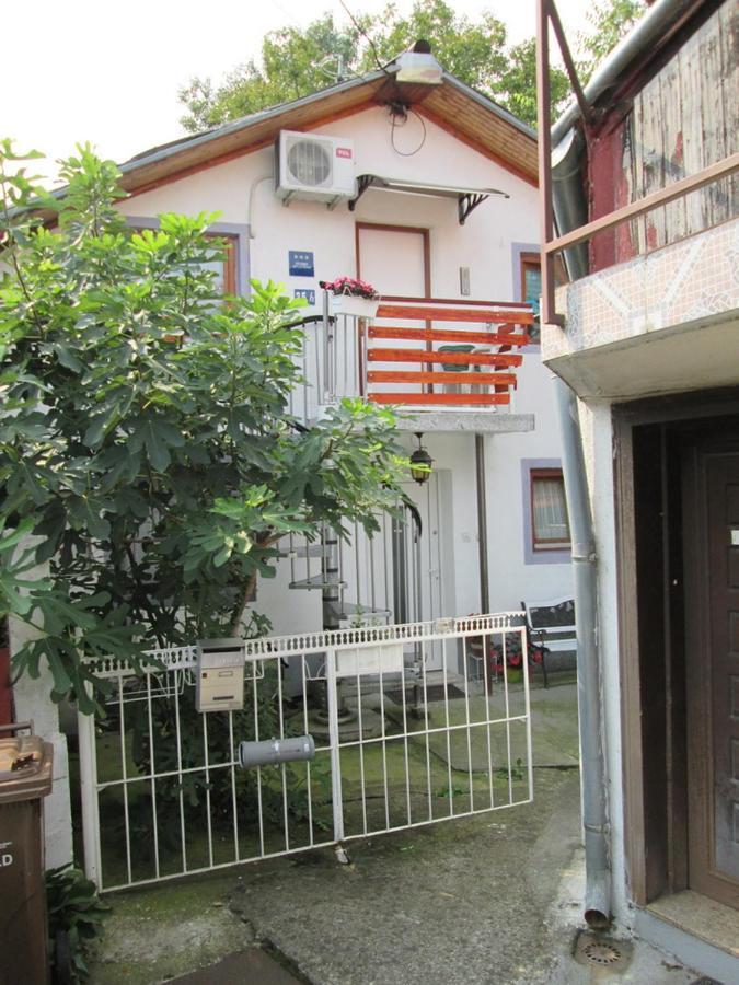 Apartment " Studio Green " Free Parking, Self Check-In Zagrzeb Zewnętrze zdjęcie